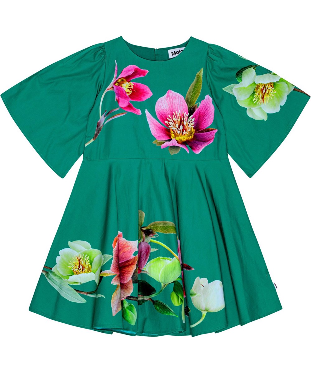 Cicela - Wild Hellebore - Grünes knielanges Kleid aus Öko-Baumwolle mit weiten Schmetterlingsärmeln und einem Blumenmuster.