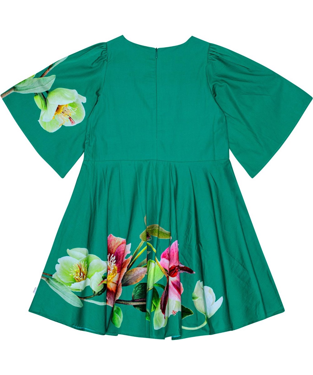 Cicela - Wild Hellebore - Grünes knielanges Kleid aus Öko-Baumwolle mit weiten Schmetterlingsärmeln und einem Blumenmuster.