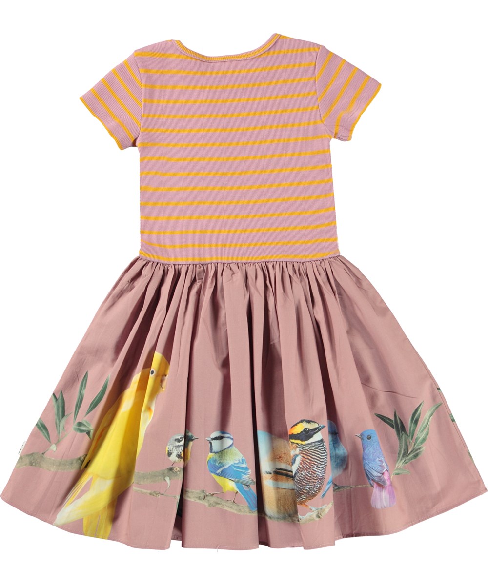 Cissa - Bird Planets - Öko-Kleid mit gestreiftem Oberteil und Vogelaufdruck