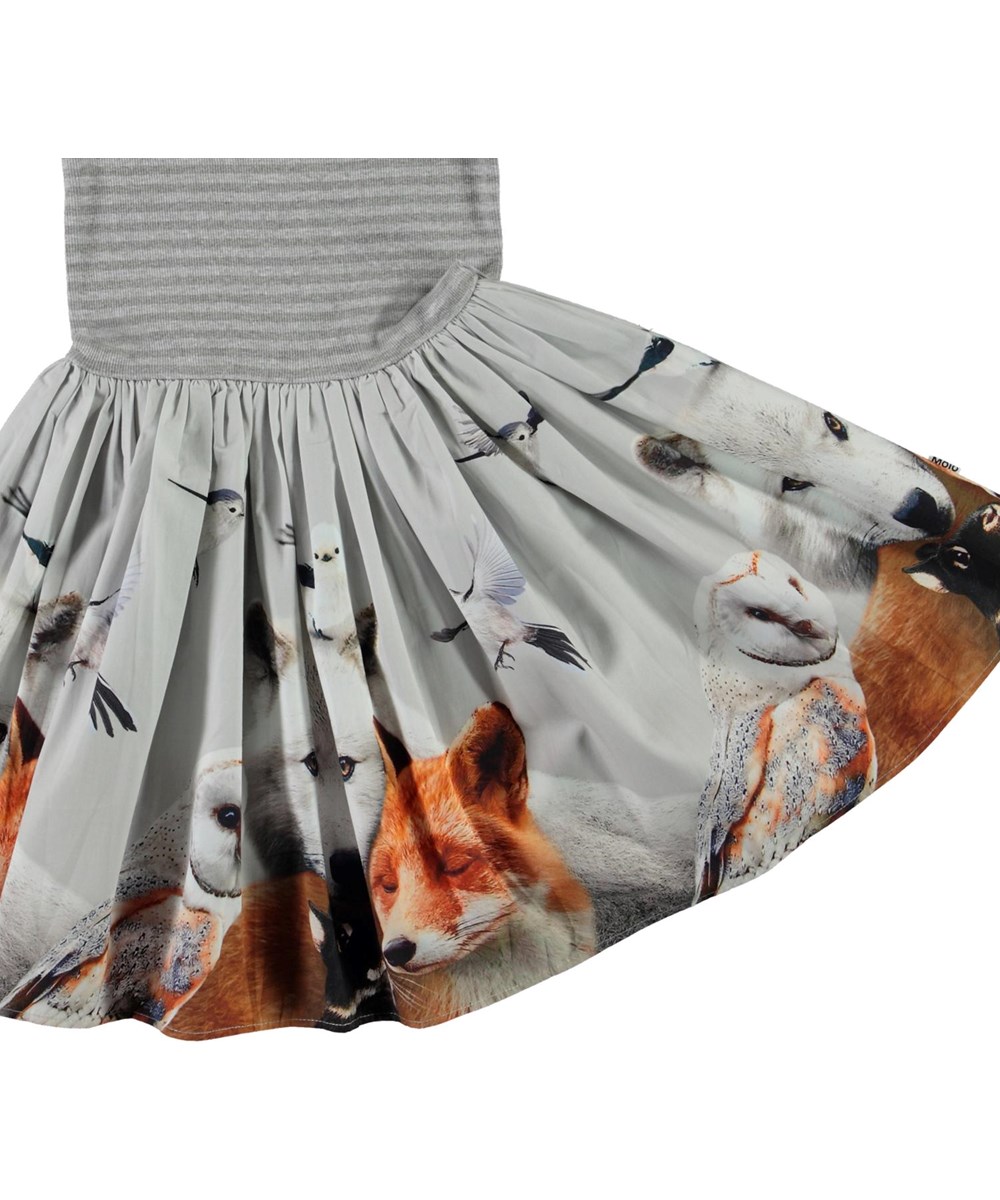 Cissa - Friendly - Öko graues Kleid mit Tiere-Druck