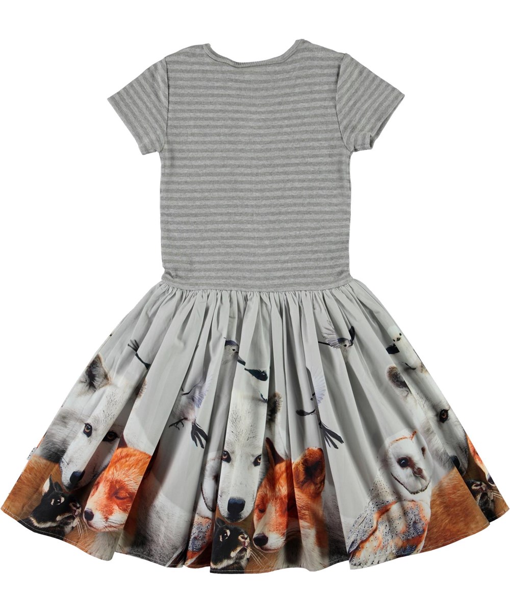 Cissa - Friendly - Öko graues Kleid mit Tiere-Druck