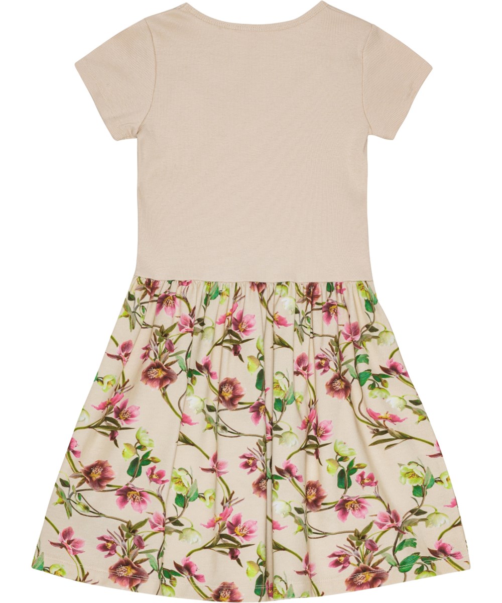 Cissa - Hellebore - Beiges kurzärmeliges Kleid aus Öko-Baumwolle mit bezauberndem Blumenmuster.
