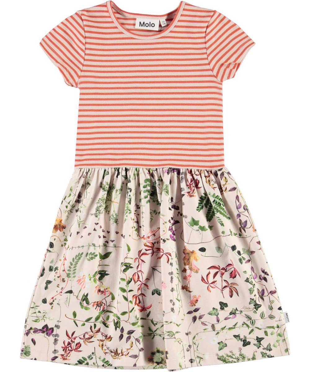 Cissa - Herbarium - rosa und rot gestreiftes Kleid mit Blumendruck