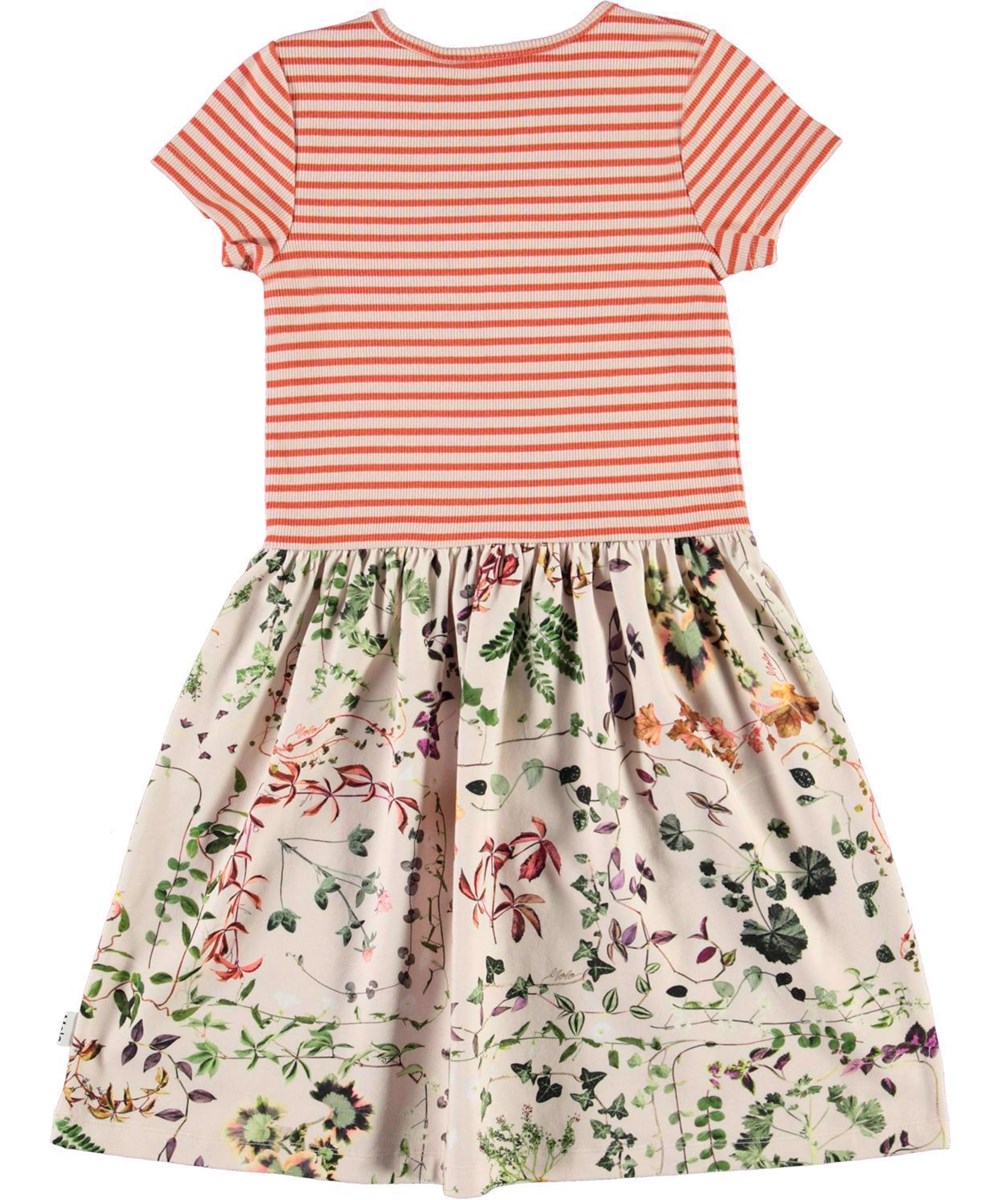 Cissa - Herbarium - rosa und rot gestreiftes Kleid mit Blumendruck