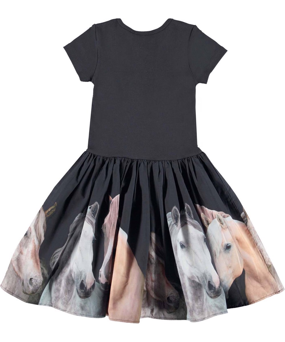 Cissa - Horse Gathering - Schwarzes Öko-Kleid mit Pferde-Print