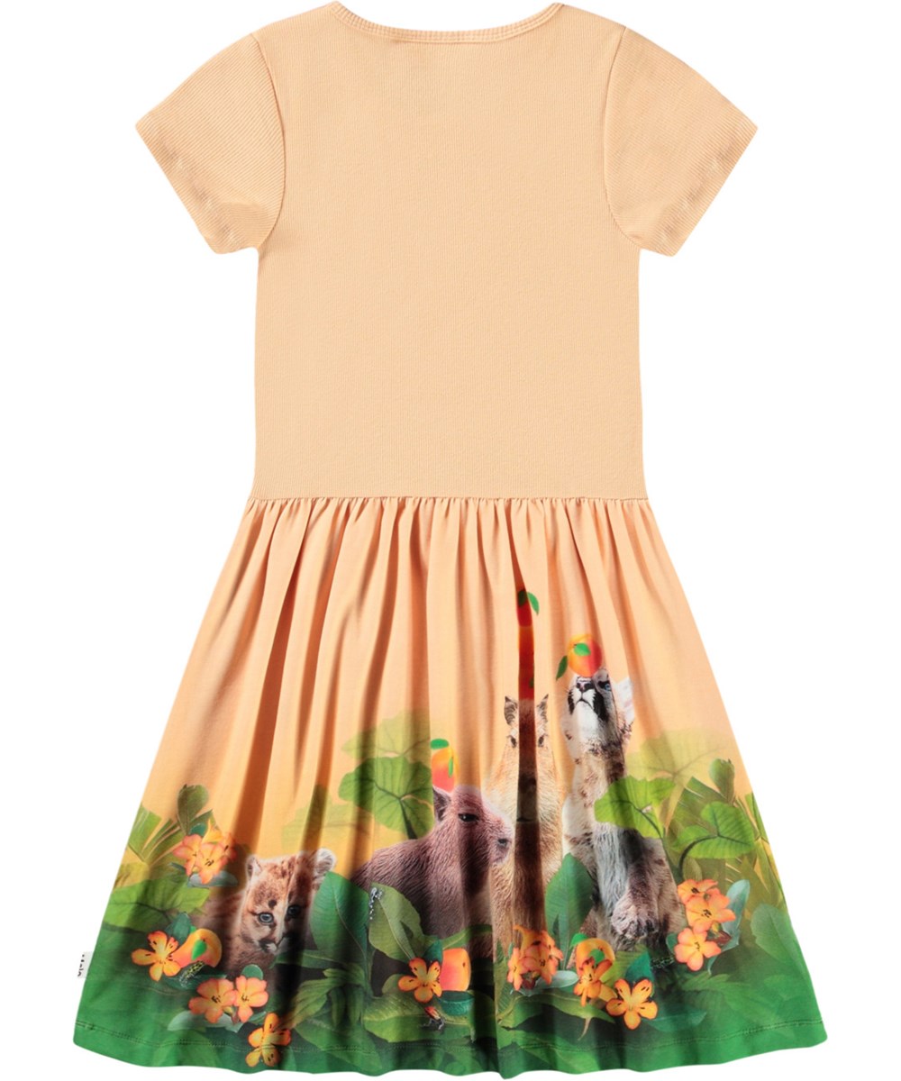 Cissa - Jungle Games - Leichtes orangefarbenes kurzärmeliges Kleid für Kinder aus Öko-Baumwolle mit einem eng anliegenden gerippten Jersey-Oberteil und einem glatten Jersey-Rock.