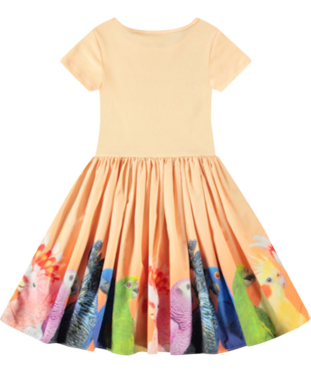 Cissa - Rainbow Parrots - Leichtes orangefarbenes kurzärmeliges Kleid für Kinder aus Öko-Baumwolle mit einem eng anliegenden gerippten Jersey-Oberteil und einem Popeline-Rock.