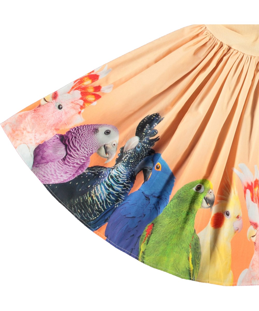 Cissa - Rainbow Parrots - Leichtes orangefarbenes kurzärmeliges Kleid für Kinder aus Öko-Baumwolle mit einem eng anliegenden gerippten Jersey-Oberteil und einem Popeline-Rock.