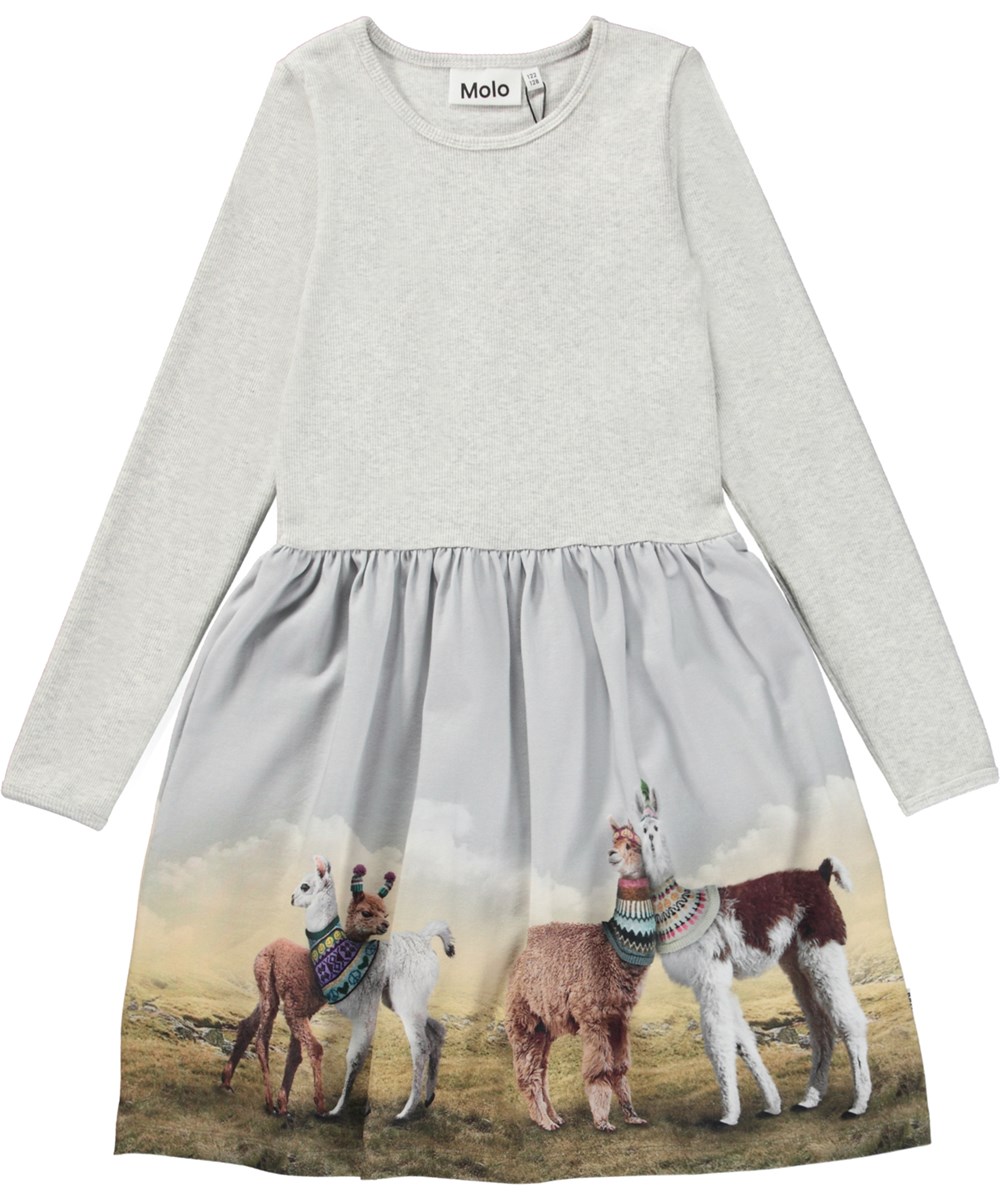 Credence - Out And About - Hellgraues, knielanges Öko-Kleid mit Lama-Print