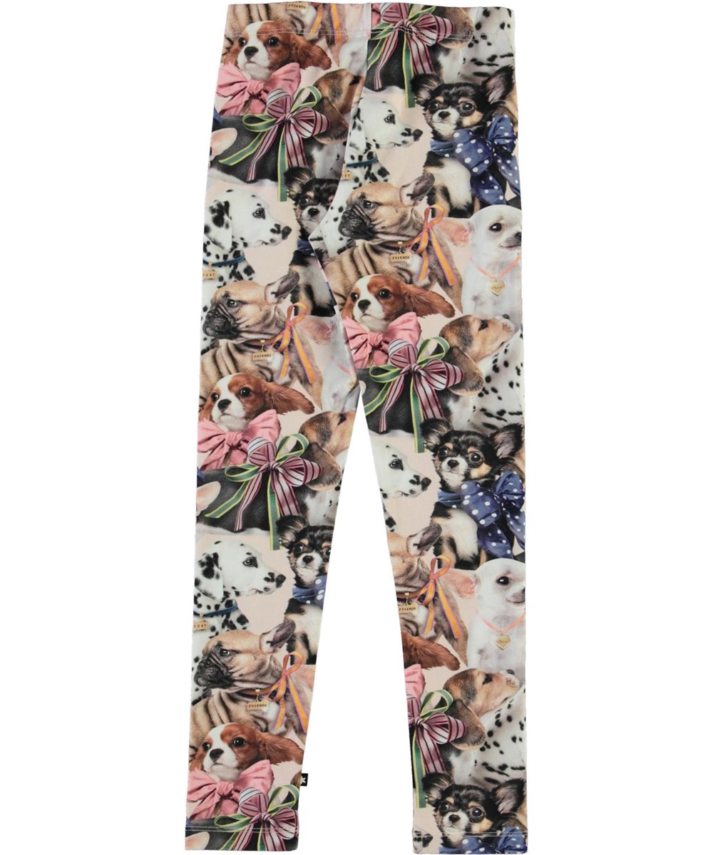 Niki -  Puppy Love - Öko Leggings mit Hunden
