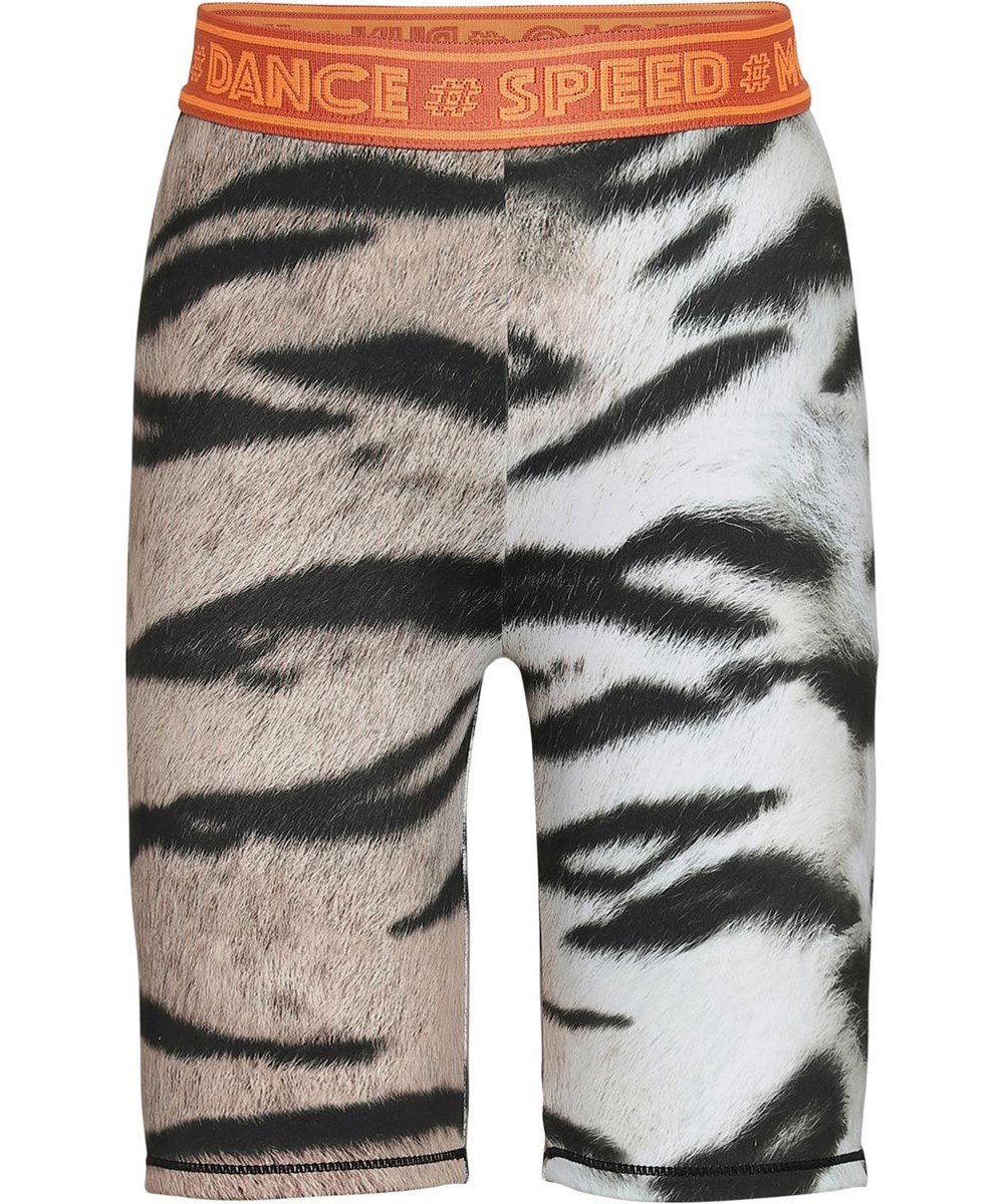 Obelia - Wild Tiger - Tiger sportliche Rad-Shorts