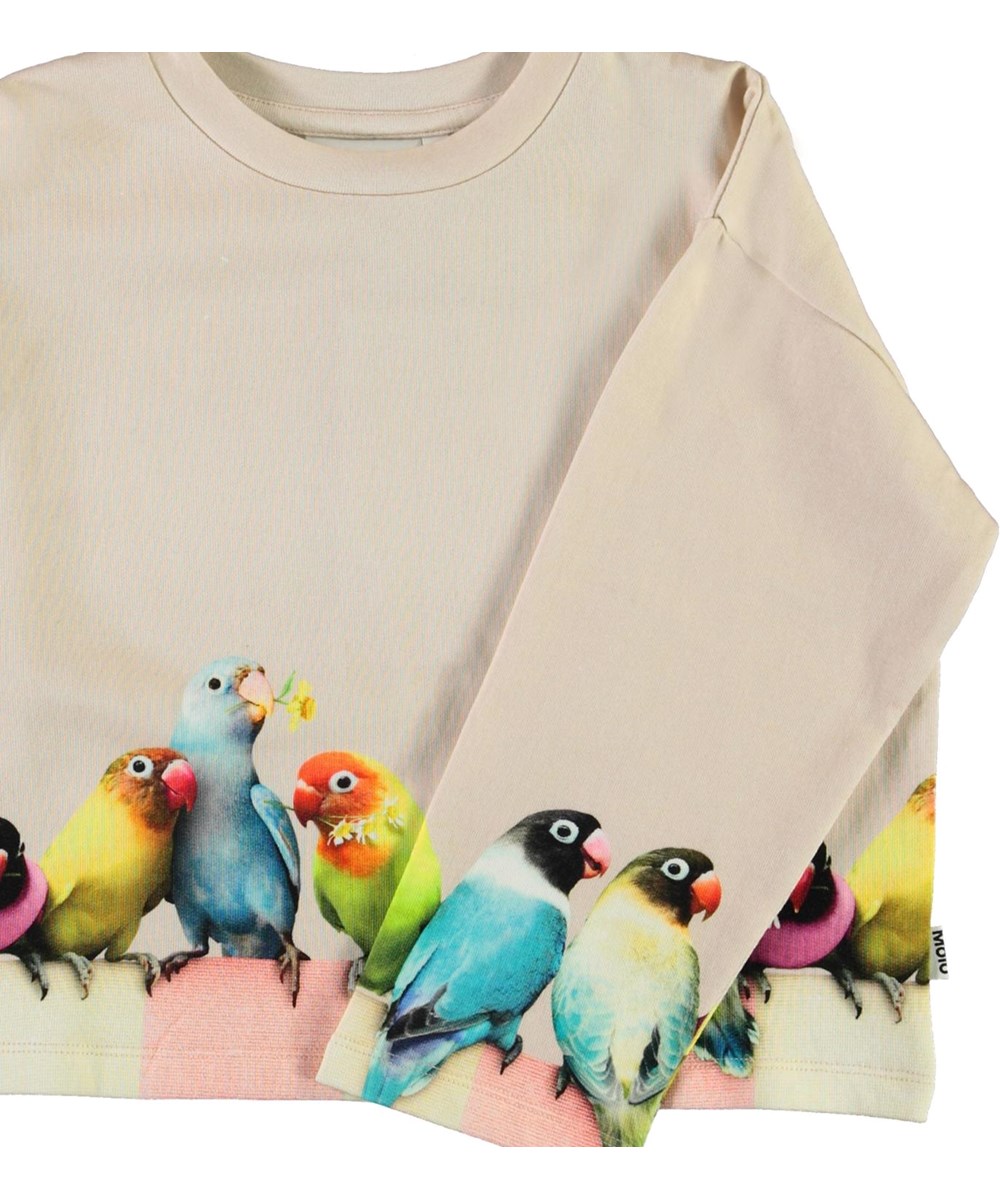 Mikko - Love Birds Big - Öko rosa Sweatshirt mit Vögeln