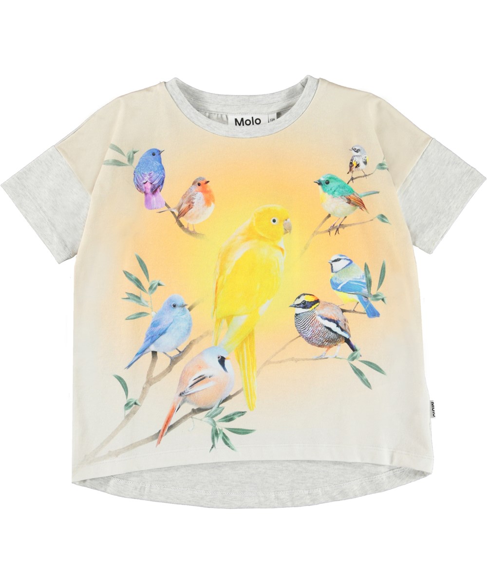 Raeesa - Solar Birds - Hellgraues Öko-T-Shirt mit Vogelaufdruck