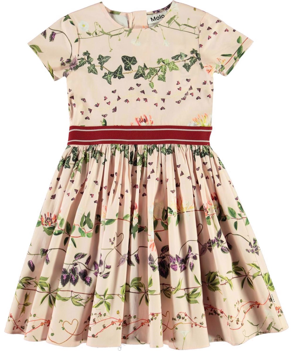 Candy - Plant Stripe - 