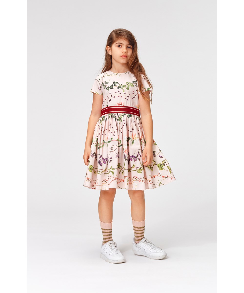 Candy - Plant Stripe - 