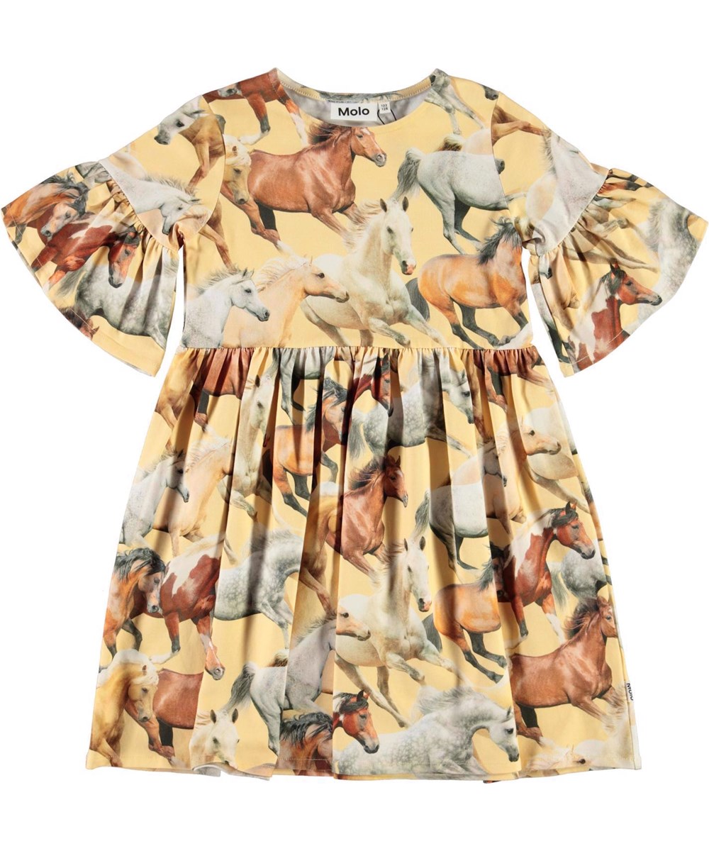 Chasity - Horse Dreams - 