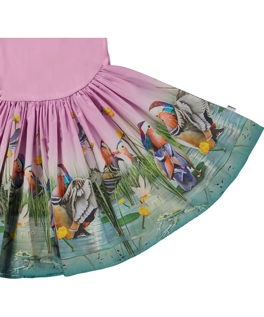 Cissa - Dashing Ducks - Roze biologische jurk met poplin rok met vijver en vogelprint