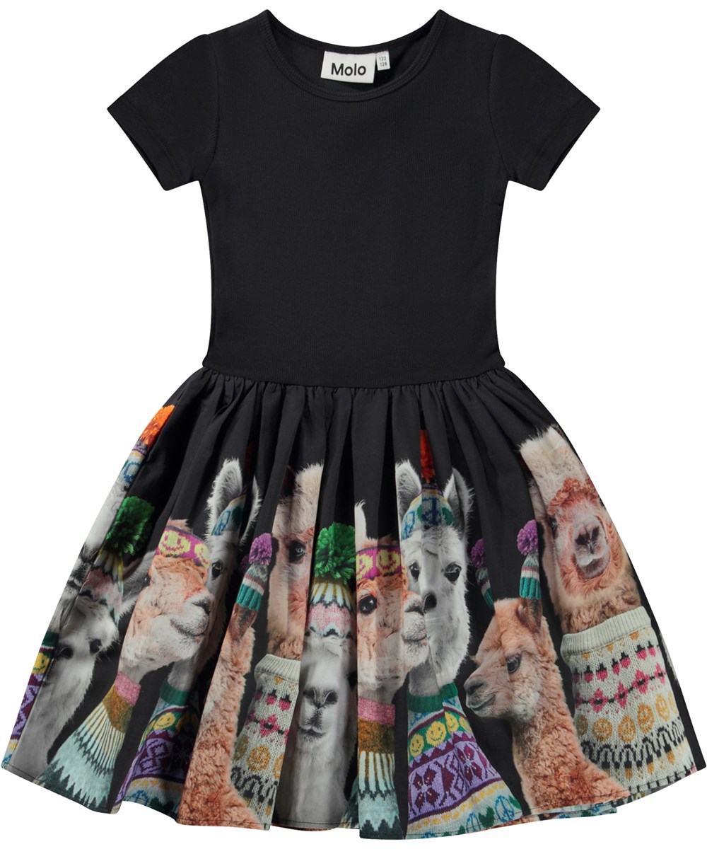 Cissa - Family Photo - Zwarte biologische knielange jurk met poplin rok in lama print