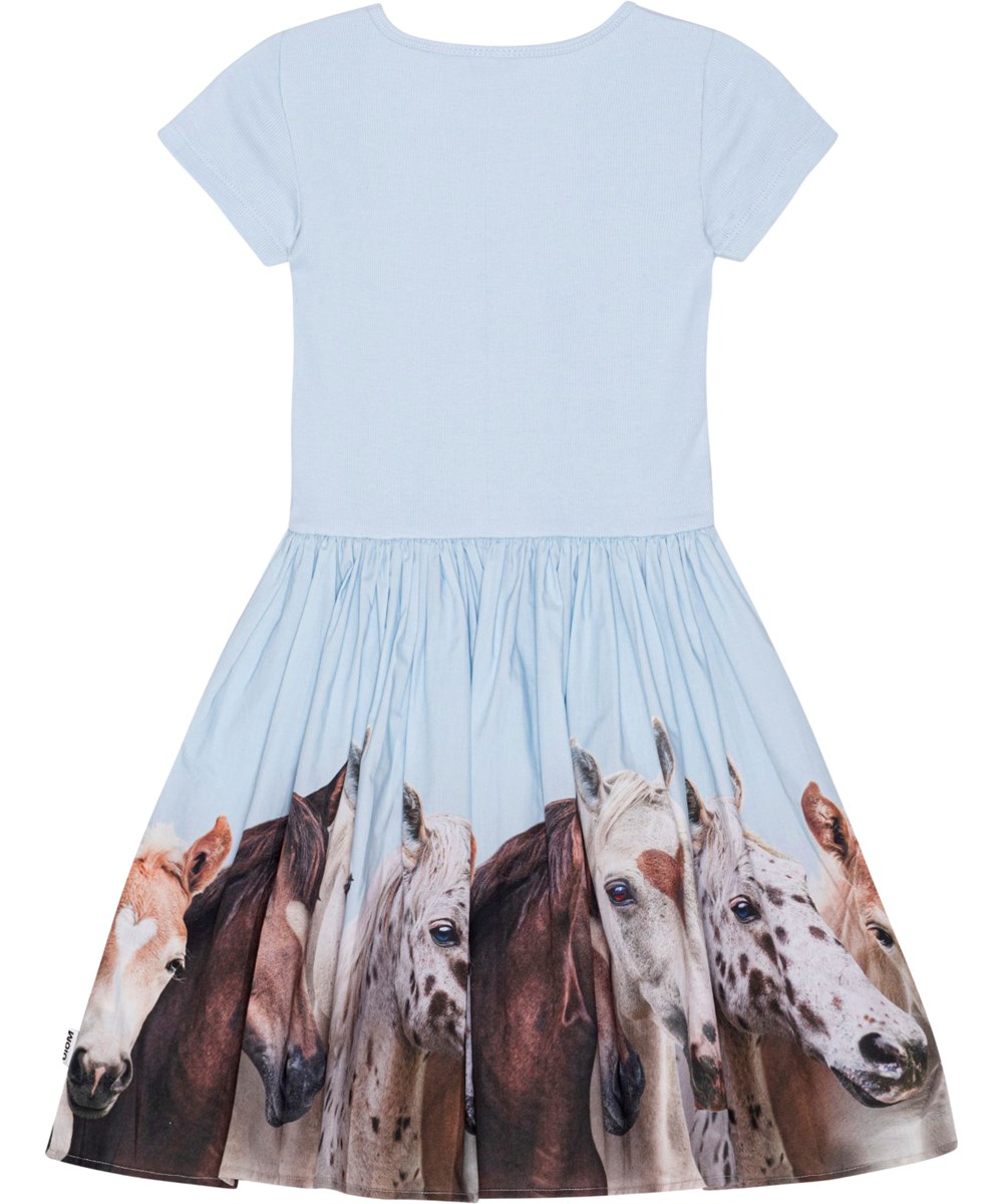 Cissa - Group Of Hearts - Blauwe jurk van biologisch katoen met paardenprint