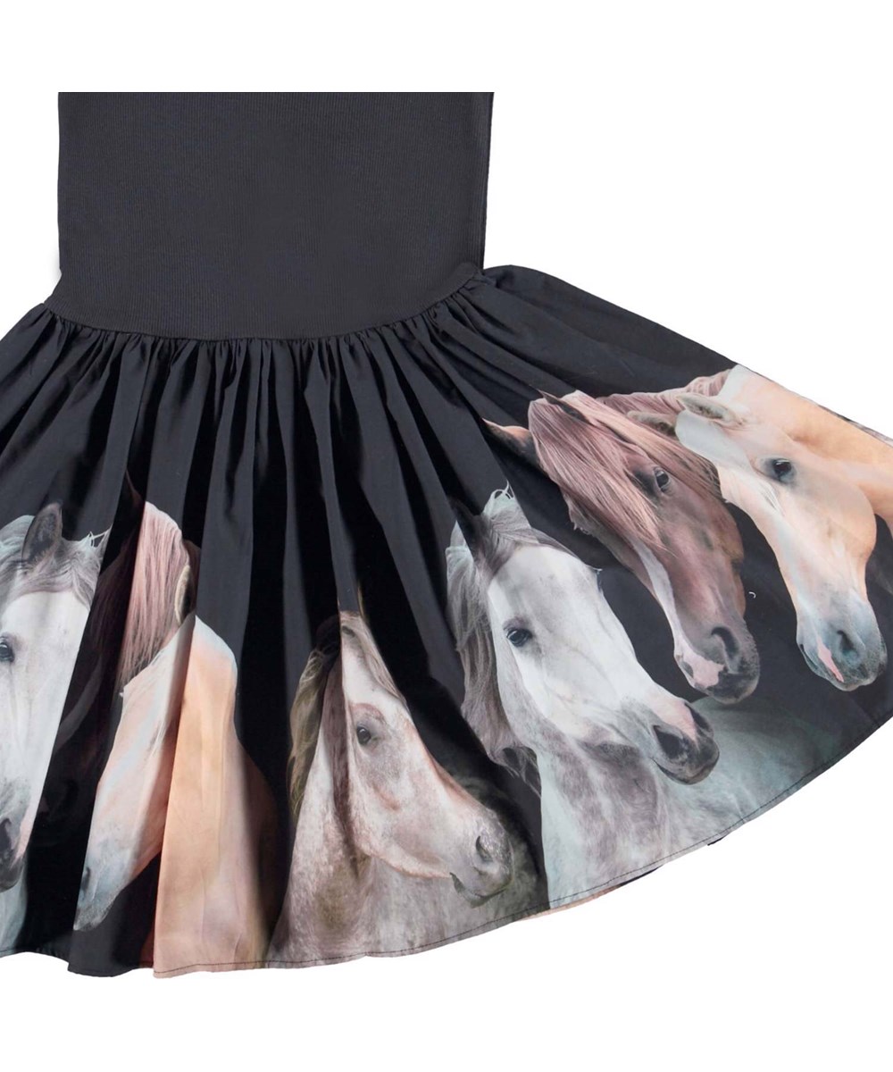 Cissa - Horse Gathering - 