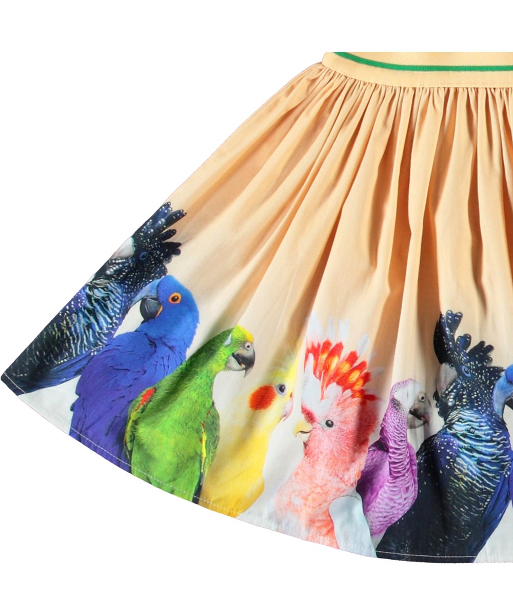 Brenda - Rainbow Parrots - Lichtoranje cirkelvormige kinderrok van biologisch katoen. De jurk heeft een print van kleine kleurrijke papegaaien.