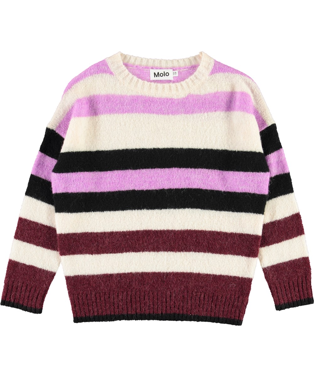 Geneen - Multi Stripes - Paarse gestreepte gebreide trui