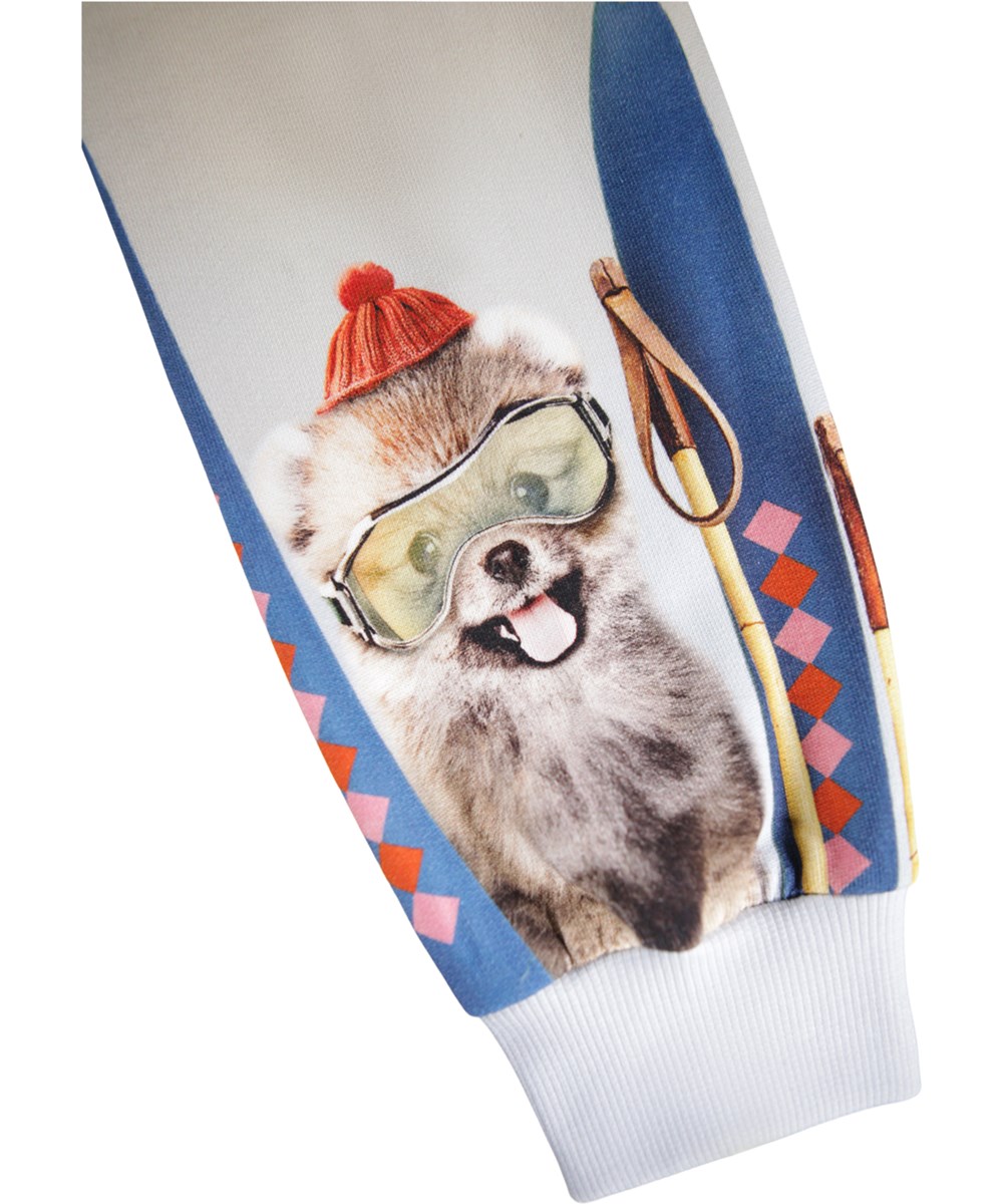 Maxi - Going Skiing - Lichtblauwe kindersweater gemaakt van biologisch katoen met een print van dieren op een skitrip.