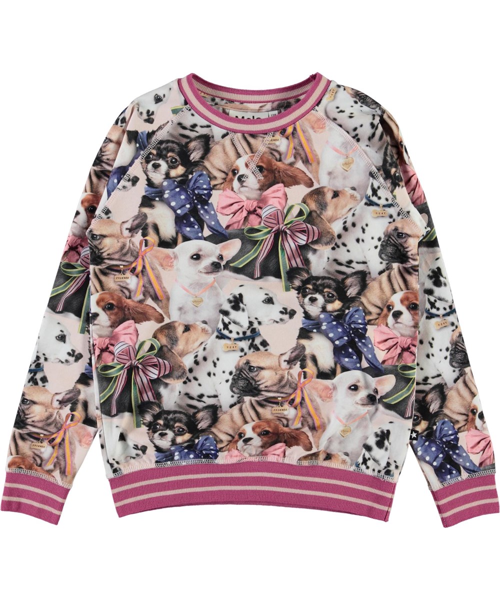 Raewyn -  Puppy Love - Blauwe biologische sweater met hondenprint