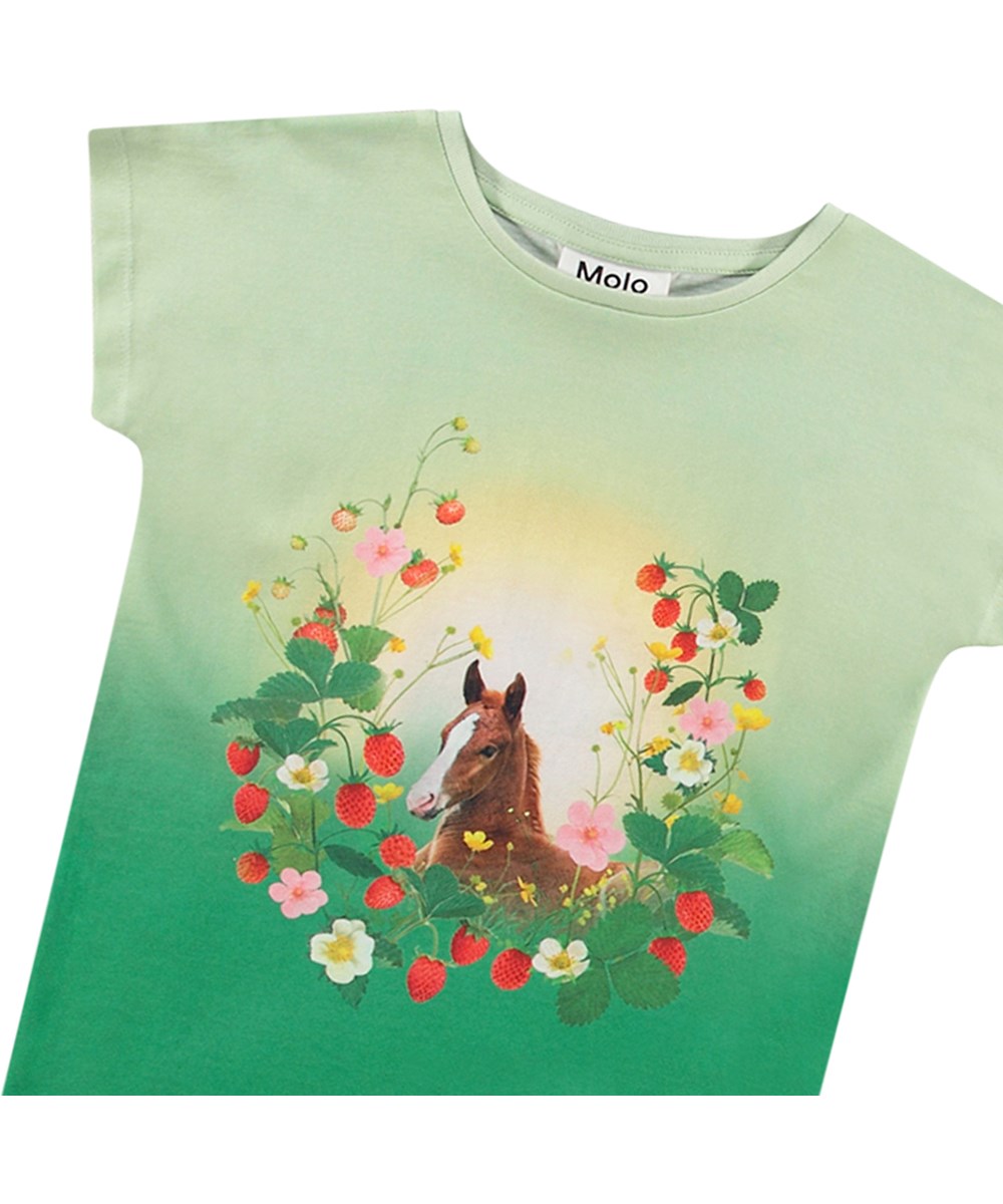 Ragnhilde - Beauty - Elastische lichtbgroene en donkergroene kinder t-shirt van biologisch katoen met korte mouwen en ribboord rond de hals.