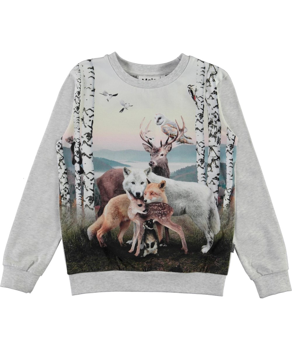 Regine - Animal Hug - Lichtgrijze biologische shirt met een vos, wolf en uilen