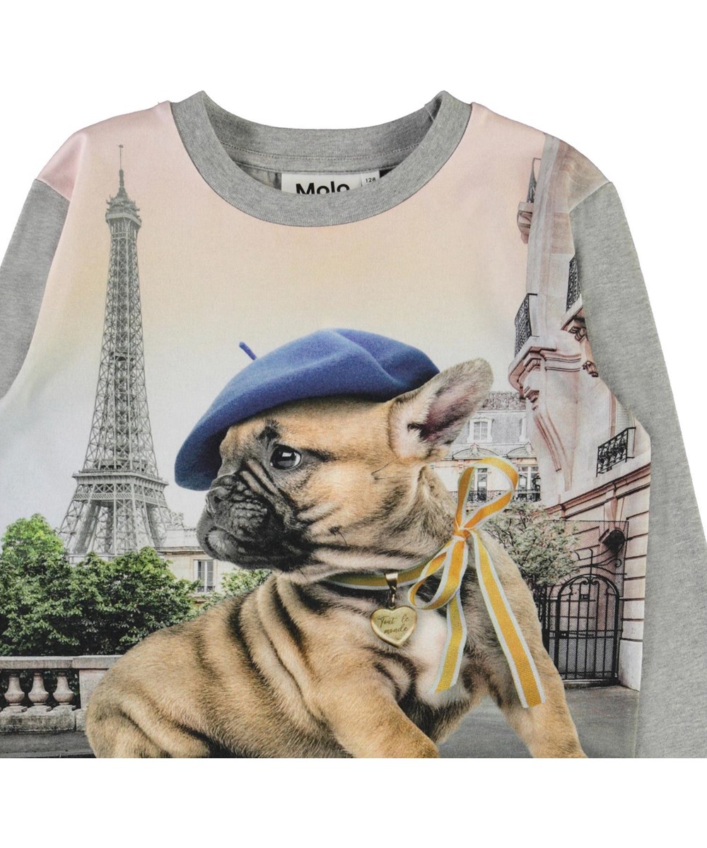 Regine - Tout Le Monde - Sweater met de Eiffeltoren en een franse bulldog