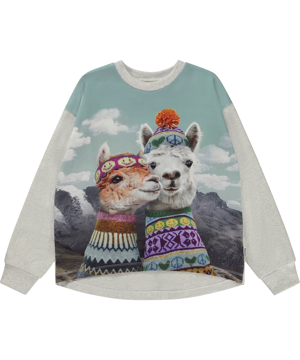 Reniza - Snapshot - Grijsgemêleerde biologische longsleeve met lama Print