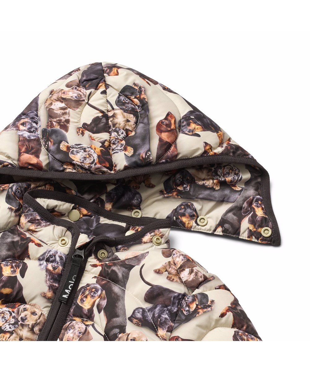 Harmony - Dashshund Soft - Wasserabweisende gesteppte Jacke aus recyceltem Polyester für die Kleinen, mit leichtem Futter, braunen Kanten und einem Druck von Hunden in Brauntönen.