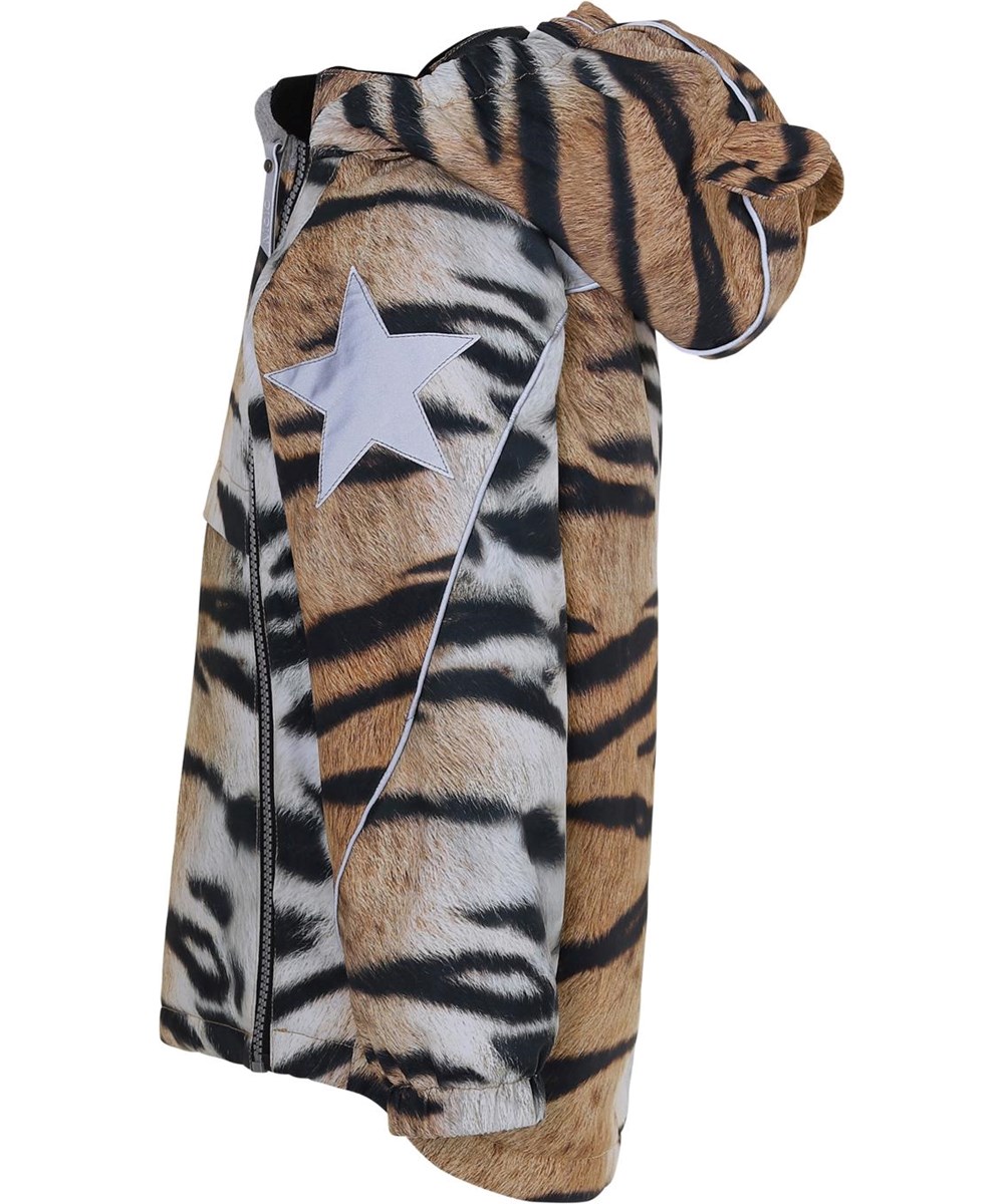 Hopla - Wild Tiger - 