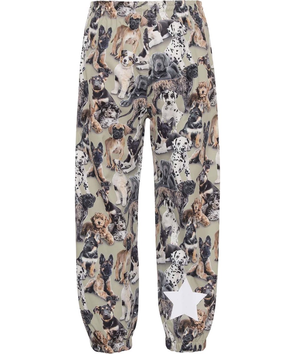 Waits - Pups Camo - Leichte und atmungsaktive Regenhose in Khaki mit Hundeprint