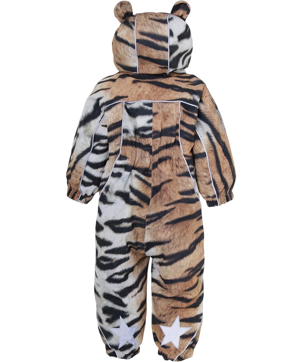 Pyxis - Wild Tiger - 