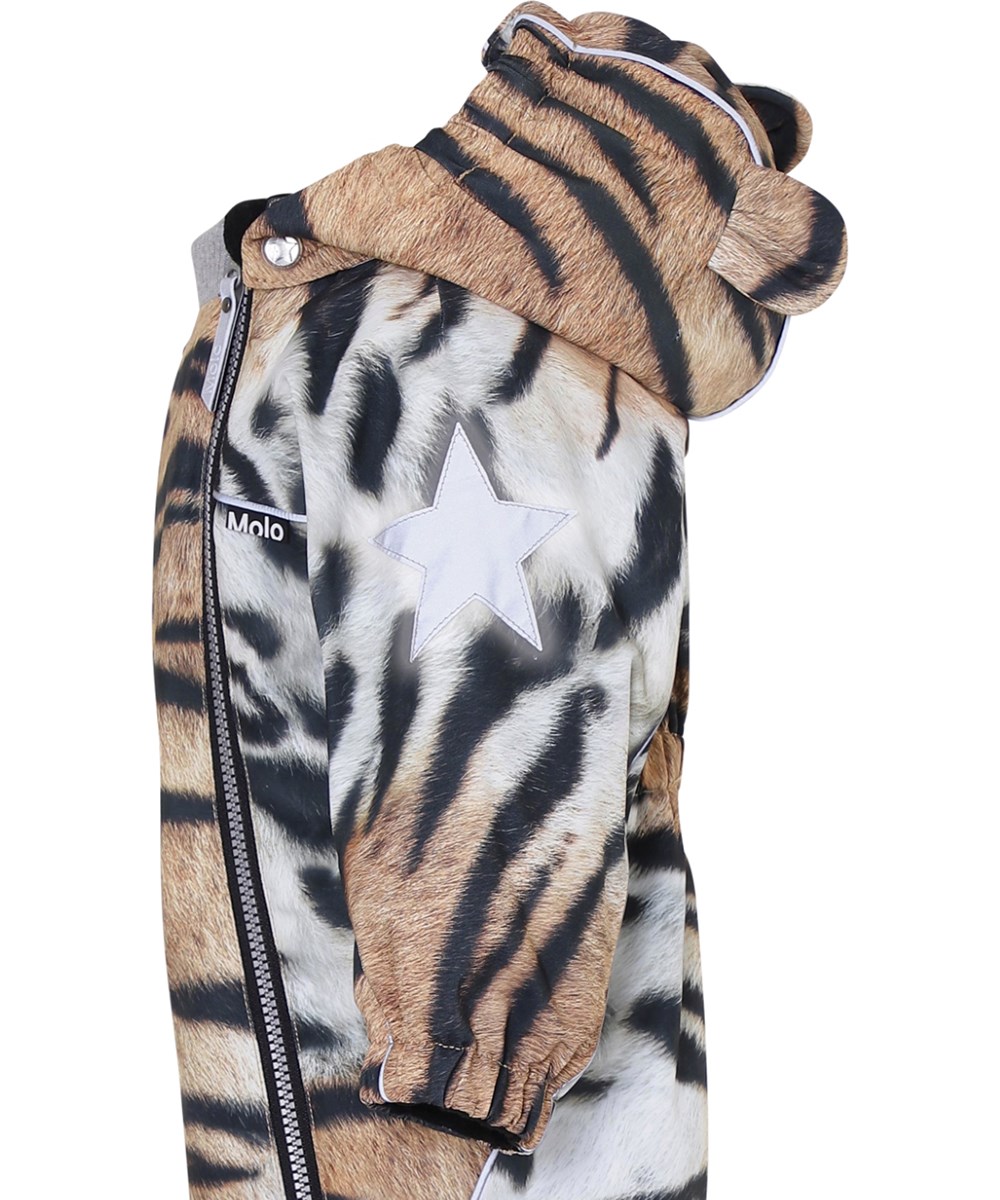 Pyxis - Wild Tiger - 