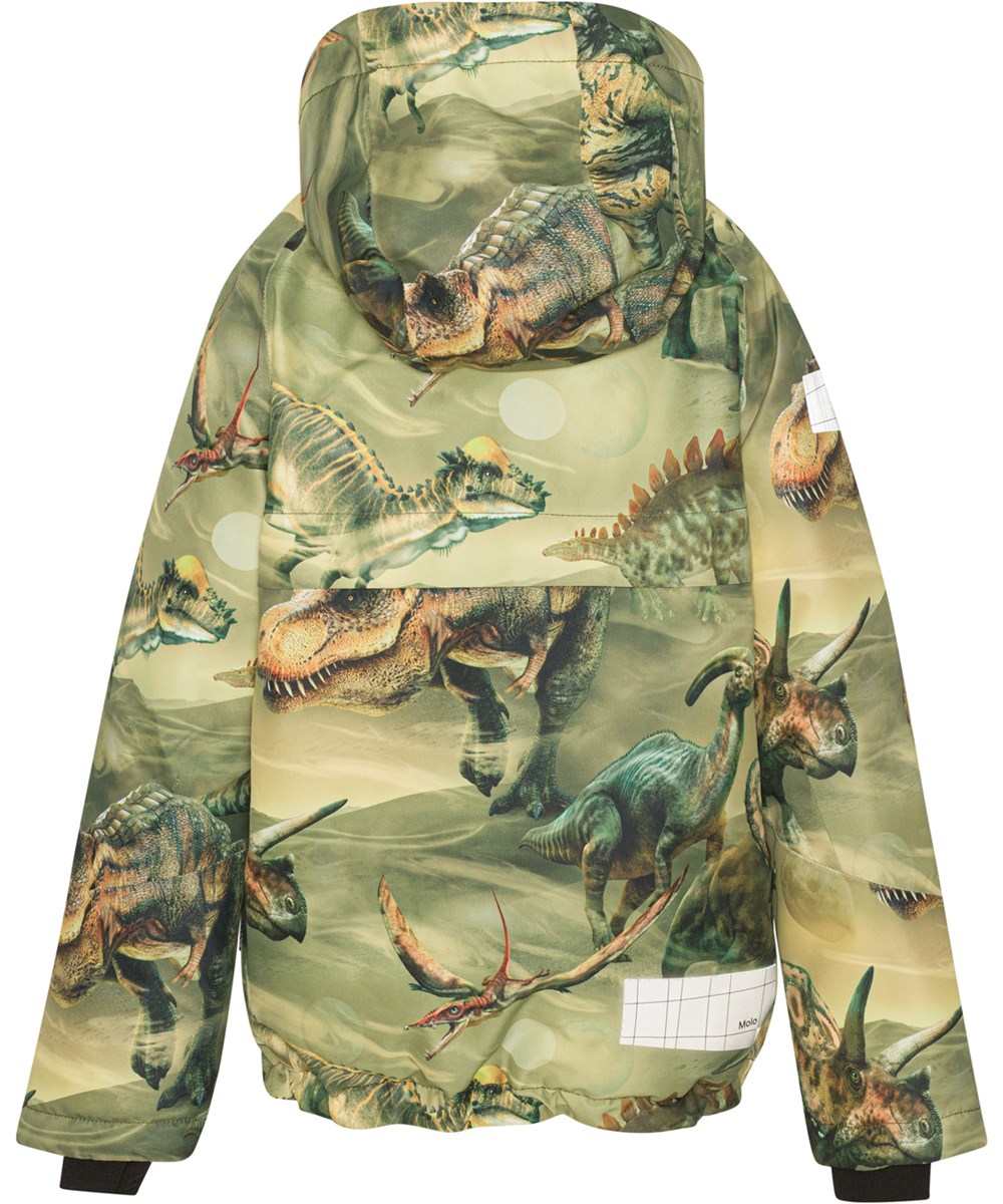 Castor - Ancient Time - Recycled winter jacket in green in a dinosaur print