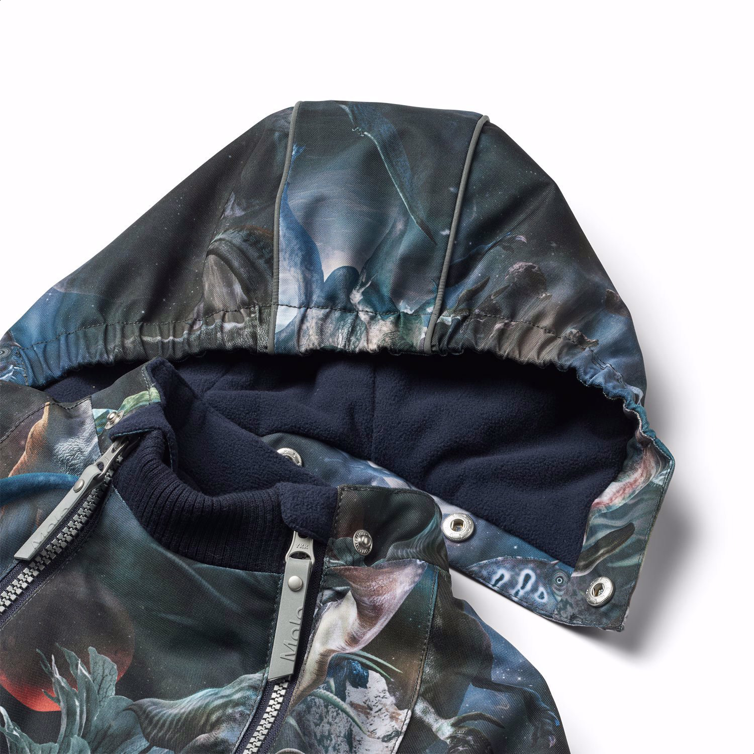 Hopla - Dino In Space - Wind- and waterproof winter jacket