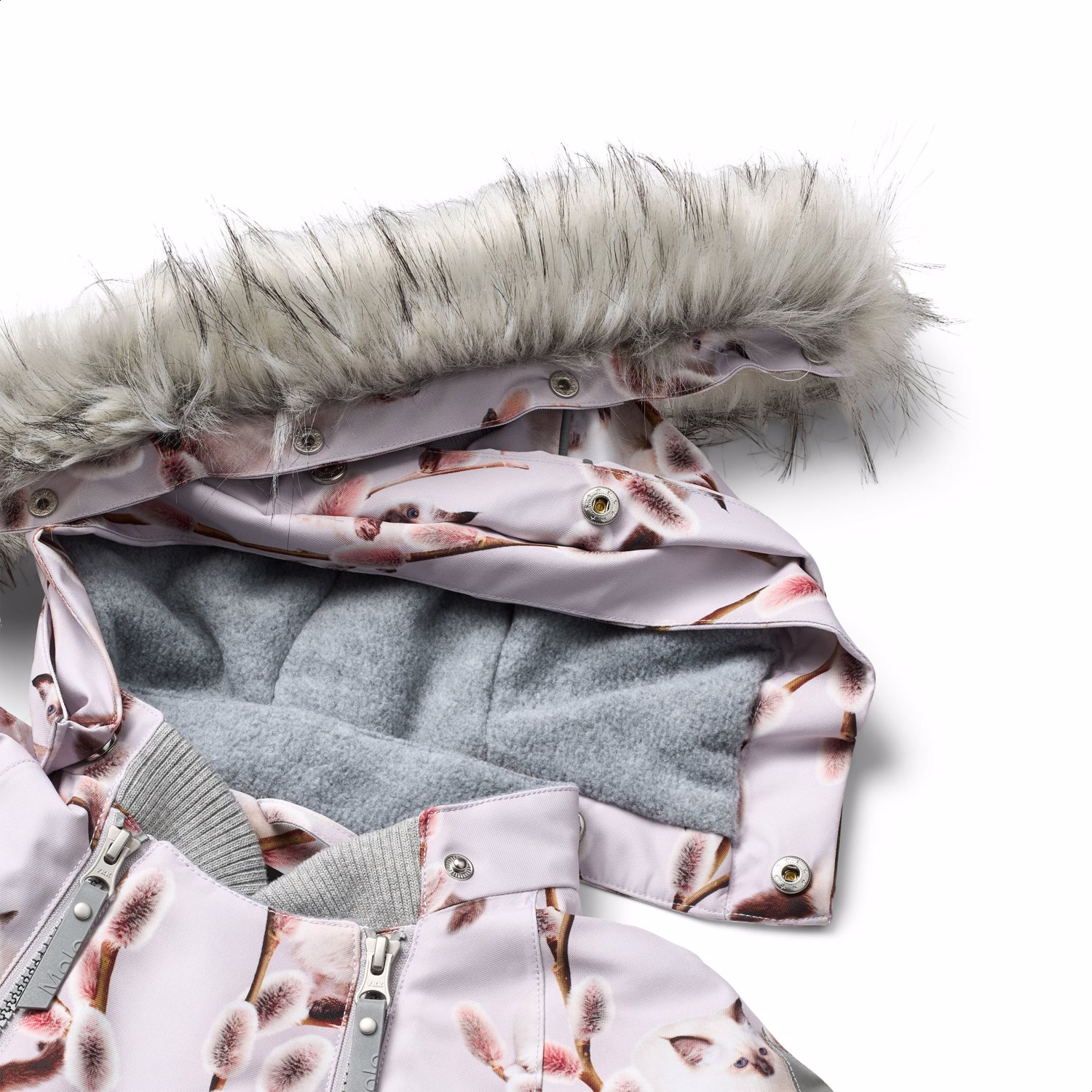 5w25m317_9365_c.jpg?height=400