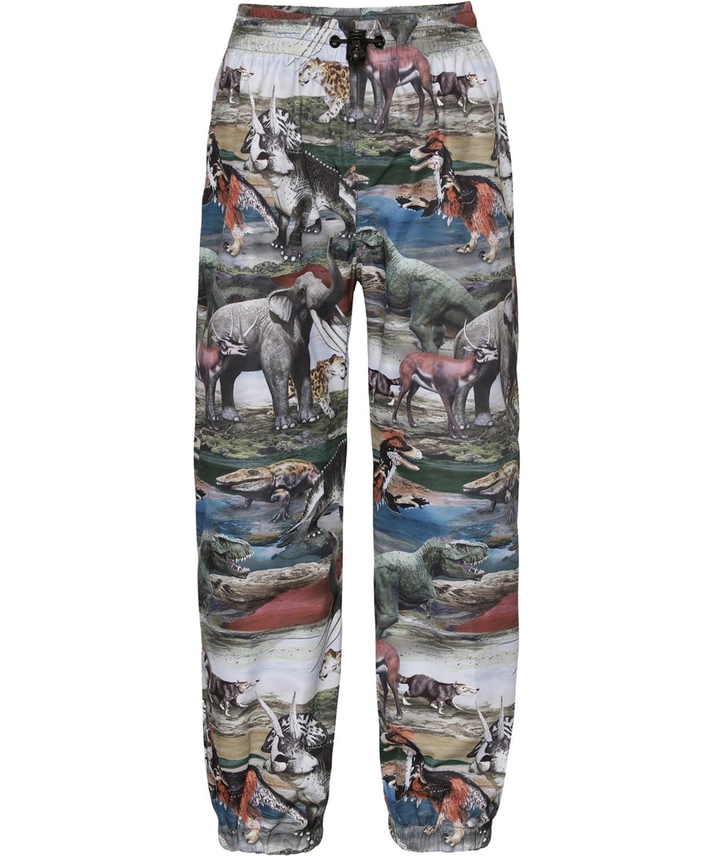 Whalley - Ancient Animals - Rainwear set with dinosaur print