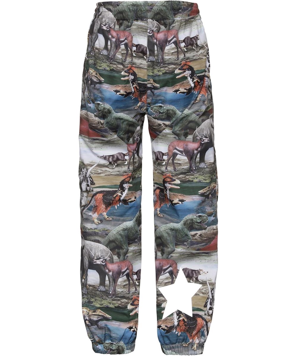 Whalley - Ancient Animals - Rainwear set with dinosaur print