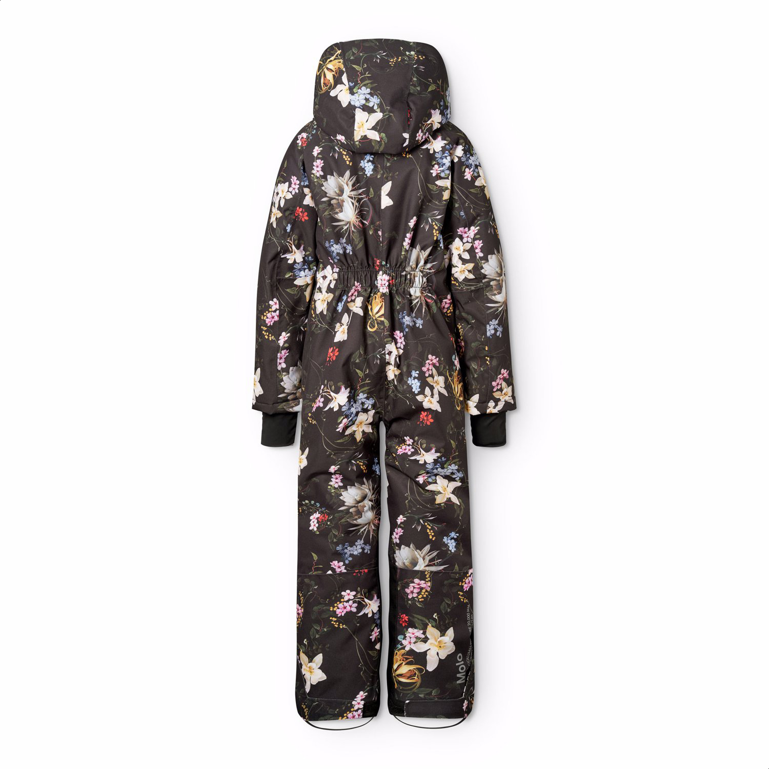 5w25n205_9361_b.jpg?height=400