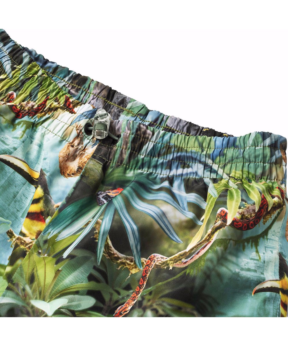 Whalley - Jungle Life - Grønt vind- og vandtæt regnsæt i genanvendt polyester med et allover print af en jungle og dens farverige dyr.