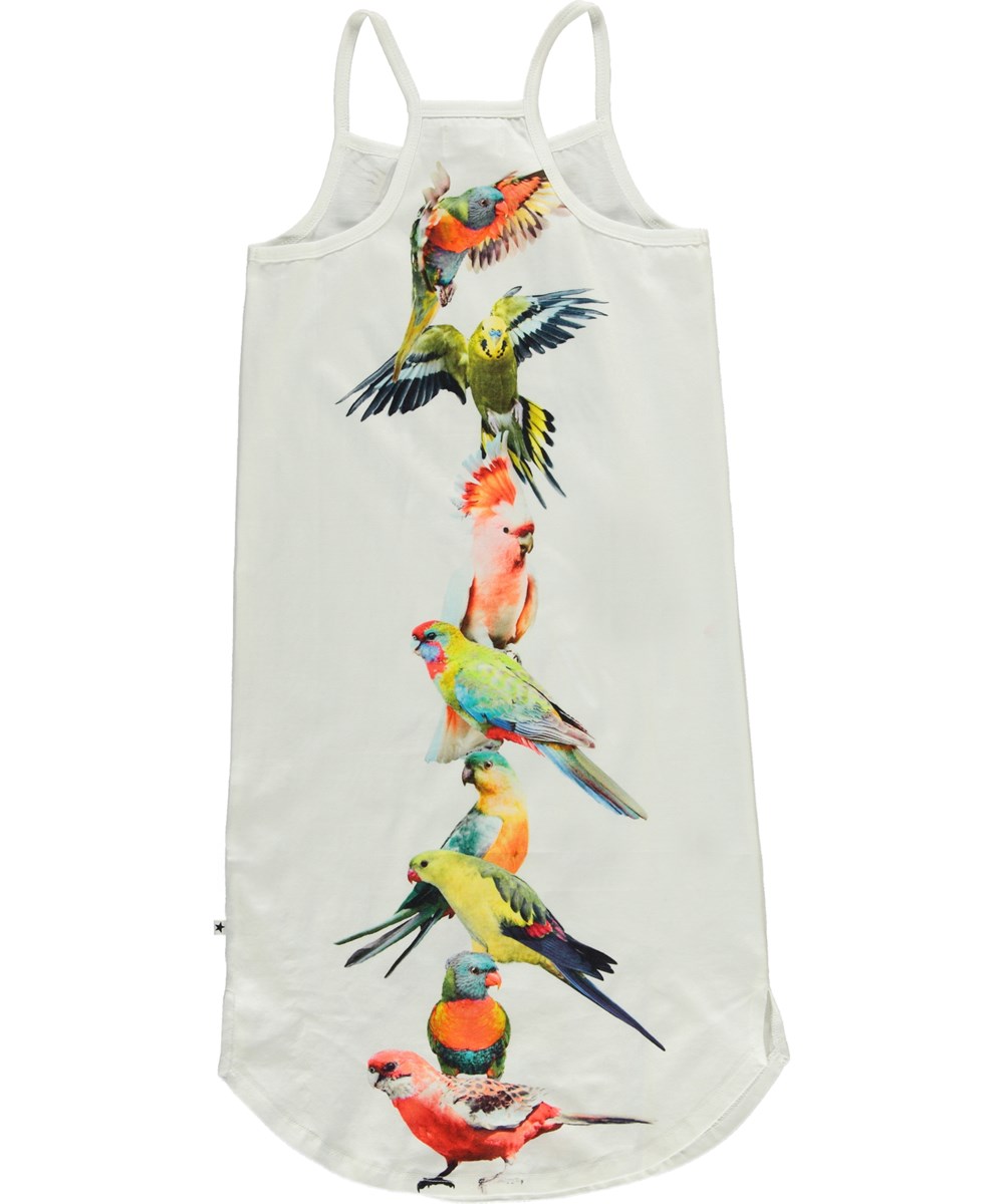 Cortney - Funny Cockatoos - Stropkjole med print af papegøjer