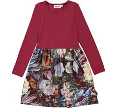 Credence Dresses