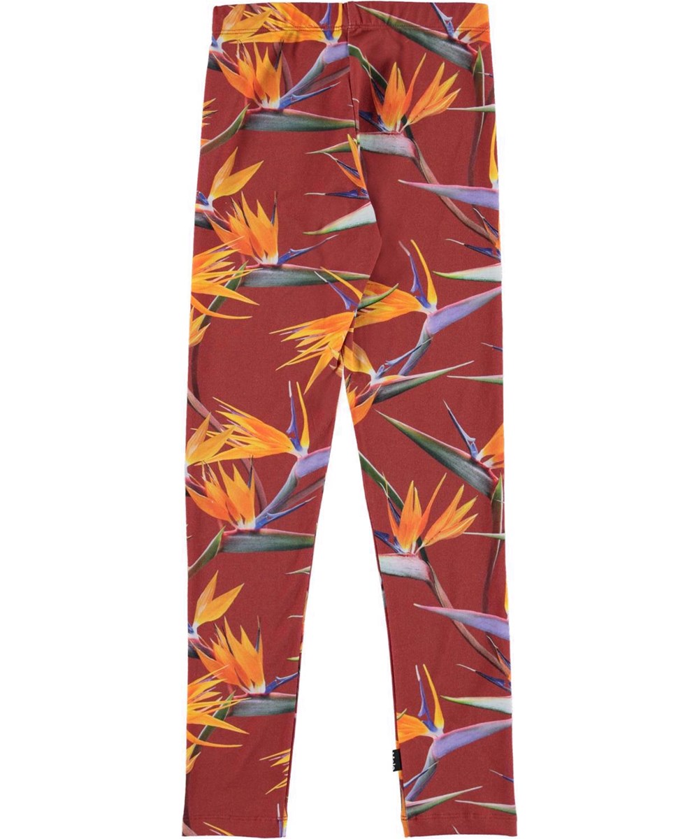 Niki - Paradise_AOP - Leggings i mørkerød med orange blomster