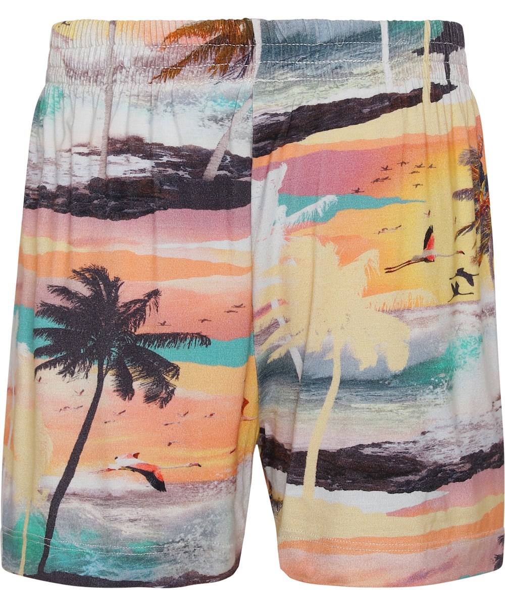 Alaine - Summer Storm - Hawaii shorts