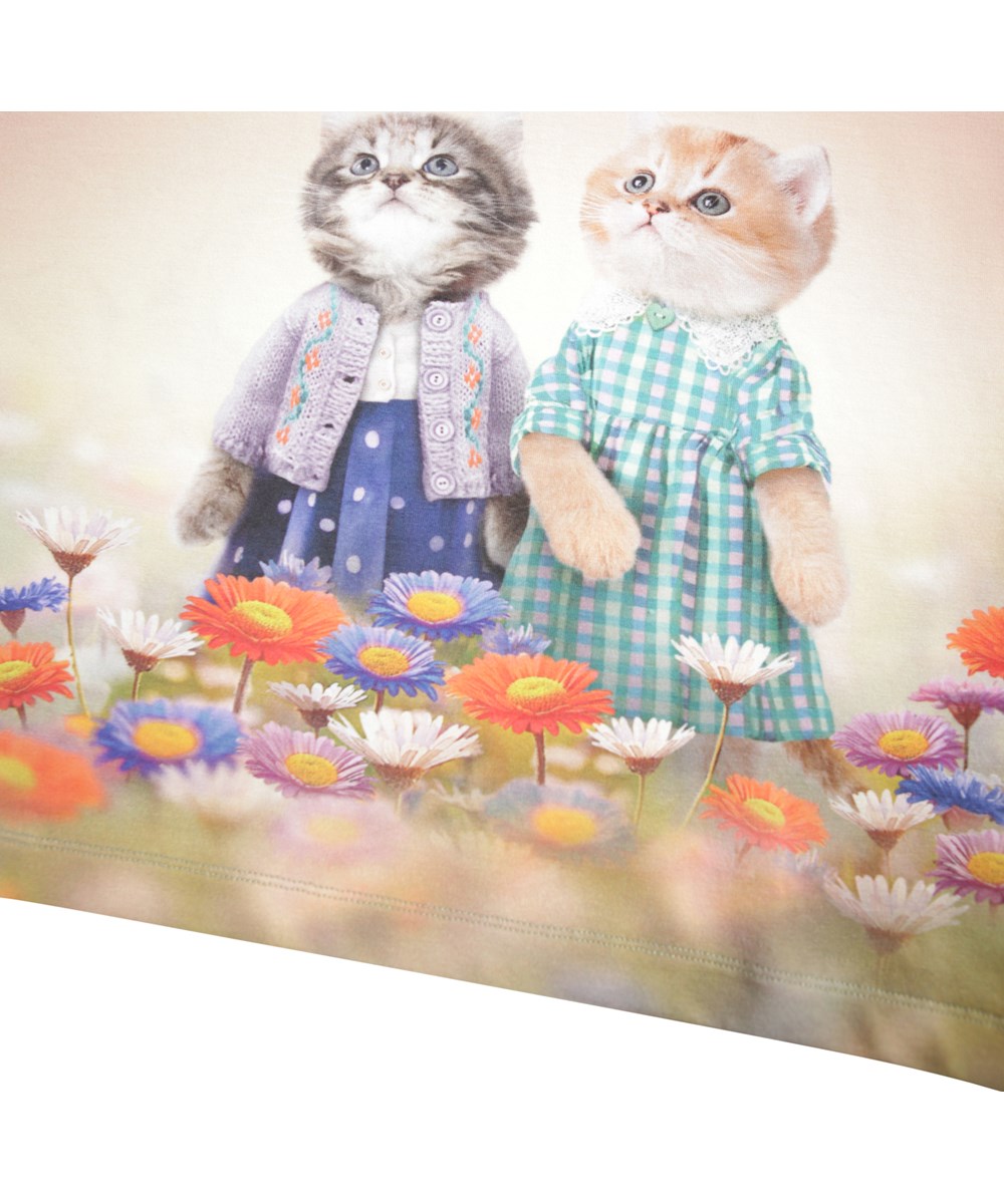 Raeesa - Vintage Kittens - Lys orange t-shirt med katteprint, til børn i blødt økologisk bomuld med rund hals, en løs pasform samt er længere bagtil end foran.