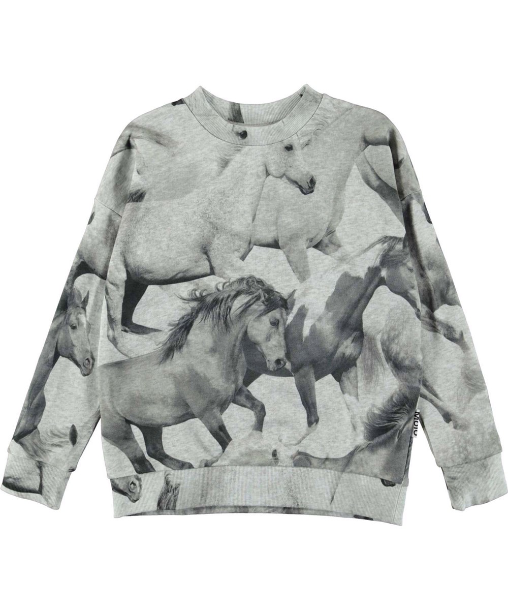 Maxi - Greymelange Horse - Grå sweatshirt med heste print